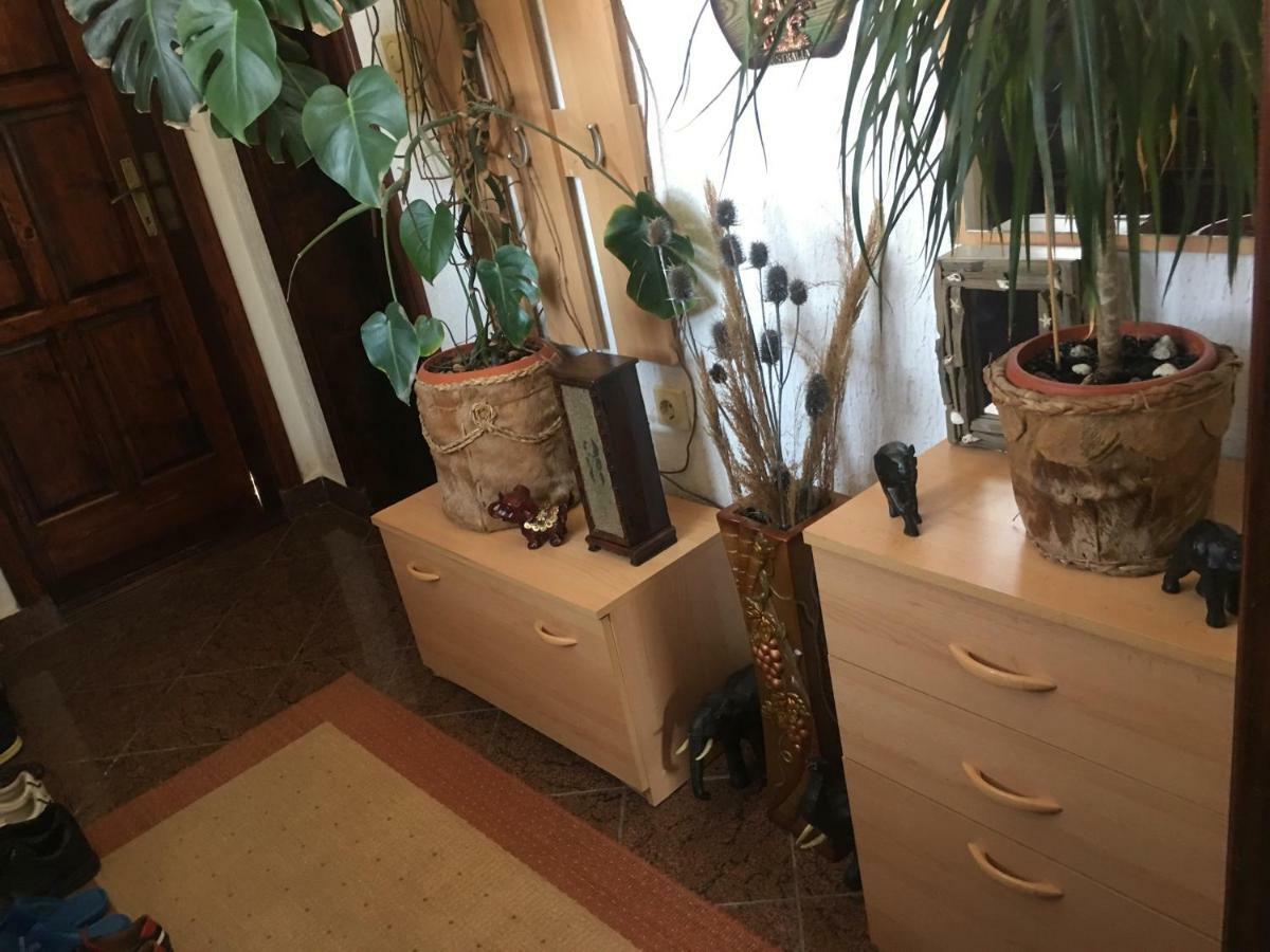 Apartmani Miljana Bar Bagian luar foto