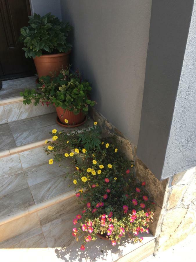 Apartmani Miljana Bar Bagian luar foto