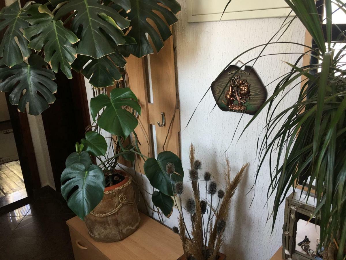 Apartmani Miljana Bar Bagian luar foto
